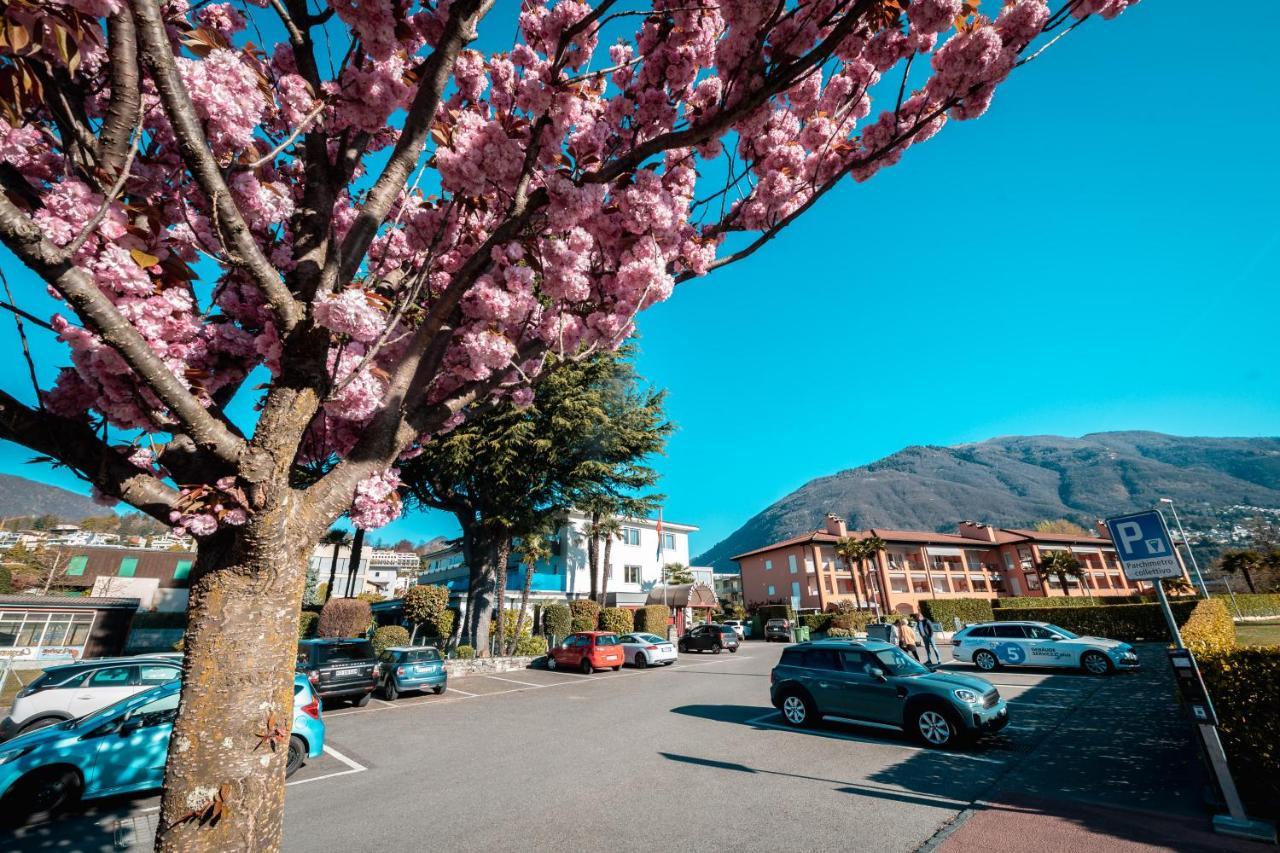 Ascona Lodge, Pool & Garden Retreat Luaran gambar