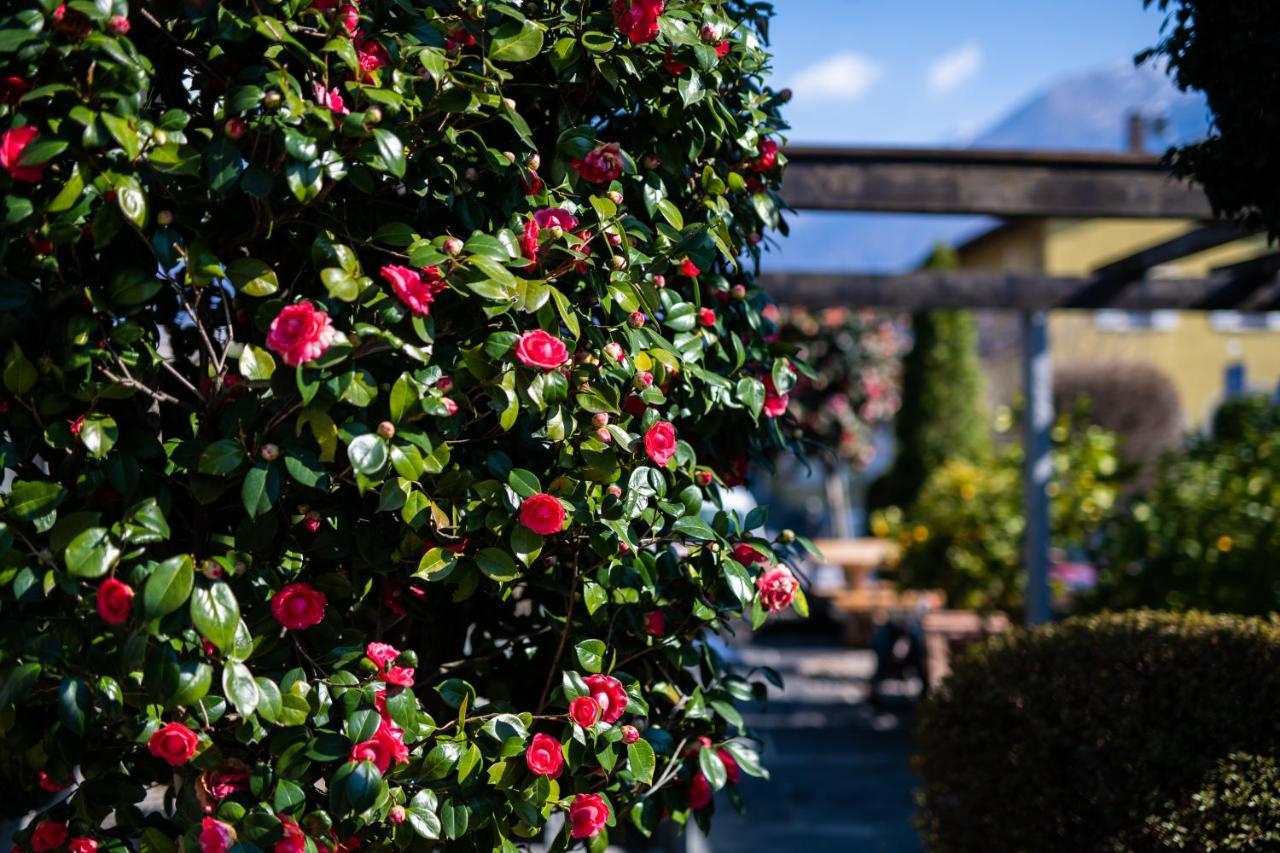 Ascona Lodge, Pool & Garden Retreat Luaran gambar